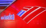 BUSINESS-US-BANKOFAMERICA-LEWIS